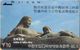 China - Gansu Telecom, Landscapes Of Gansu (11-5) Mother Of Yellow River, 20.000ex, 7/92, Mint - Chine