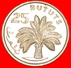 * PALM TREE: THE GAMBIA &#x2605; 25 BUTUTS 1971 MINT LUSTER! LOW START&#x2605; NO RESERVE! - Gambie