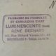 Bruxelles // Carte Photo - Promotion Pendule 502 - Fabrique De Pendules - Luminescent Rene Bernard - Rue R. Vandevelde - Altri & Non Classificati