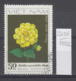 103K2201 / 1982 - Michel Nr. 1244 Used ( O ) Flowers Fleurs Blumen - Gelbe Dahlias Dahlia Dahlien  , Vietnam Viet Nam - Vietnam