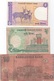 Bangladesh : Lot De 3 Petits Billets (1 Taka UNC + 2 Taka + 10 Taka) - Bangladesh