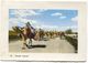 BAGHDAD - IRAQ, CAMELS CARAVAN, OLD PC - Iraq