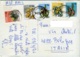 SWA  SOUTH WEST AFRICA  NAMIBIA  SWAKOPMUND  2 View Desert And City  5 Nice Stamps Flowers - Namibia