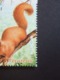 N°3381 LUXE** - Ecureuil - 2€70 - Bloc De 4 - Impression Dépouillée De ''LA POSTE 2001'' - Dentelé 13½ - Gomme D'origine - Unused Stamps