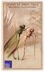 Rare Chromo Bouillon Cibils 1895 Thème Cricket Libellule Humanisée Anthropomorphisme Hiver Canne Insecte A37-45 - Other & Unclassified