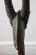 Delcampe - Art Africain Bambara Mali Elegant Cimier Tywara 72 Cm - Art Africain