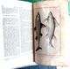 Delcampe - BUFFON 200 GRAVURES OISEAUX POISSONS TORTUES SERPENTS ET DIVERS  RECUEIL AVEC TEXTE 1836 - 1801-1900