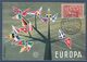 Europa Conseil De L'Europe Strasbourg 15.9.63 N°1359 Carte Postale - 1962