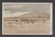 JAPAN WWII Military Horse Picture Postcard NORTH CHINA WW2 MANCHURIA CHINE MANDCHOUKOUO JAPON GIAPPONE - 1941-45 Chine Du Nord