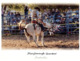 (D 1) Australia - QLD - Maryborough Rodeo - Outback