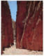 (D 5) Australia - NT - Standley Chasm - Sin Clasificación