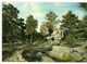 77   EN FORÊT De FONTAINEBLEAU   Le Sphinx Des Druides à Franchard - Fontainebleau