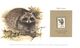 (D 7) Info Card With Mint Stamp - WWF - World Wildlife Fund International - Racoon - Otros & Sin Clasificación