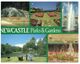 (D 21) Australia - NSW - Newcastle Parks - Newcastle