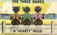 Black Americana, The Three Bares A "Hearty" Hello (1930s) Asheville Postcard 128 - Black Americana