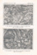 Delcampe - A102 647 - Oberhummer Entwicklung Alpenkarten Österreich Artikel Von 1903 !! - Mappamondo