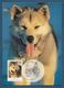 AAT 1994  Mi.Nr. 98 , The Last Huskies - Maximum Card - First Day Of Issue 13. January 1994 - Cartoline Maximum