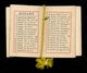 Petit ALMANACH 1890 ** Calendrier ** Mode - Petit Format : ...-1900