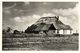 Nederland, TEXEL, Landschap Met Boerderij (1954) Ansichtkaart - Texel