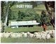 (E 11) Australia - SA - Port Pirie - Sheep - Other & Unclassified