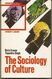 Textbook For Students - Sociology Of Culture. In English. 1991 - Cultural