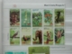 Delcampe - Indonesia 1949-1998: MNH Collection - Collections (with Albums)