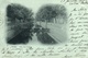 Nîmes - Le Canal En 1901 - Phototypie Lacour - Carte N° 196 Dos Simple - Nîmes