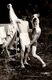Insolite Photo Originale Gay & Jeunes Playboys Adolescents Débridés En Camping à Moitié Nus & Sexy En 1949 - Anonymous Persons