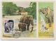 CARTE MAXIMUM CM Card Mail  USSR RUSSIA Elephant Boy Children  Dog Satire Cat - Maximum Cards