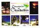 Seychelles:Beach Scenerys - Seychelles