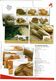 Portugal 2009 , Brochure , Pagela , Antonio Pedro , Jazz , D. Afonso Henriques , Lusitano Horse , Portuguese Bread - Other & Unclassified