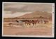 JAPAN WWII Military Horse Picture Postcard Central China WW2 MANCHURIA CHINE MANDCHOUKOUO JAPON GIAPPONE - 1943-45 Shanghai & Nanjing