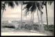 SÃO TOMÉ E PRÍNCIPE -Um Cocoeiro Na Roça Porto Alegro. ( Ed. A. Palanque Nº 37) Carte Postale - Sao Tome Et Principe