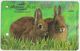 Singapore Old Subway Train Bus Ticket Farecard Transitlink Used Rabbit Netherlands Dwarf - Lapins