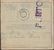 Poland 1919 STRYJI Postage Due Austrian Parcel Card - Errors & Oddities
