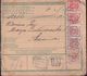 Poland 1919 Skawina Postage Due Parcel Card - Errors & Oddities