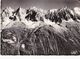 CHAINE DES AIGUILLES DE CHAMONIX (dil472) - Chamonix-Mont-Blanc