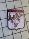 1720 Pin's Pins / Beau Et Rare / THEME : SPORT / RUGBY CLUB CHABLIS CHATEAU - Rugby