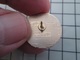 1820 Pin's Pins / Beau Et Rare / THEME : SPORTS / PLONGEE SOUS-MARINE CLUB SUBACAUSSE GRAMMAT - Tauchen