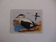 Bird Eider Portugal Portuguese Pocket Calendar 1987 - Petit Format : 1981-90