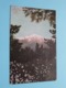 Mt San Bernardino - 11.000 Ft. ( N° 5153  Newman Post Card ) Anno 19?? ( See Scans Please ) ! - San Bernardino