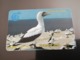 ASCENSION ISLAND   5 Pound Bird  White BOOBY BIRD 5CASA / WHITE STRIP/   MINT Old  Logo C&W **2946** - Ascension (Insel)