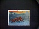 Great Britain, Scott #1422, Used (o), 1992, Animals In Winter, Brown Hare, 24p - Unclassified