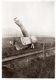 Delcampe - GROSSE COLLECTION DE CARTES POSTALES AVIATION / AEROPLANES / BALLON / PHOTOS CARTES PLUS DE 300 CARTES PRIX CASSE - 100 - 499 Cartes