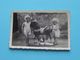 Kinderen Met SPEELGOED Paard > Anno 1948 ( Zie/voir/See SCANS ) 9 X 6 Cm.! - Gegenstände