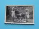 Kinderen Met SPEELGOED Paard > Anno 1948 ( Zie/voir/See SCANS ) 9 X 6 Cm.! - Objetos