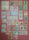 BRASILE LOT OF NEWS MNH** AND USED STAMPS + PERFIN - Colecciones & Series