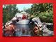 Disneyland - Jungle Cruise - Dschungelkreuzfahrt - Vintage Postcard - Kleinformat - Anaheim