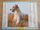 Calendrier-Almanach Des Postes P.T.T.     1994     Eure - Grand Format : 1991-00