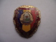 Romania - Army - Emblem - Leading Military Insignia Badge Abzeichen - See Verso - Armée De Terre